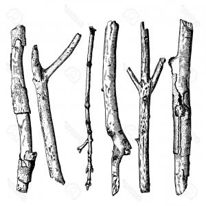 300x300 Photoorganization Chart Tree Company Corporate Hierarchy Chairman