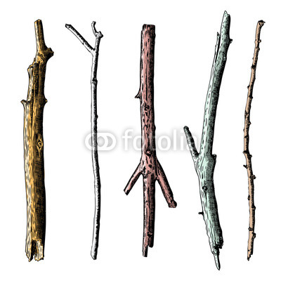 400x400 Set Of Ink Drawing And Painted Wood Twigs, Isolated Watercolor