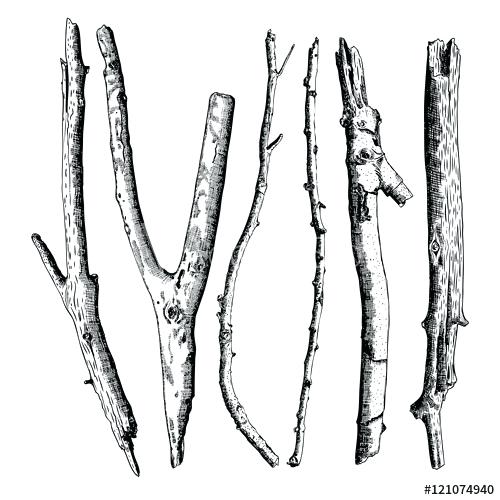 500x500 Drawing Of A Branch