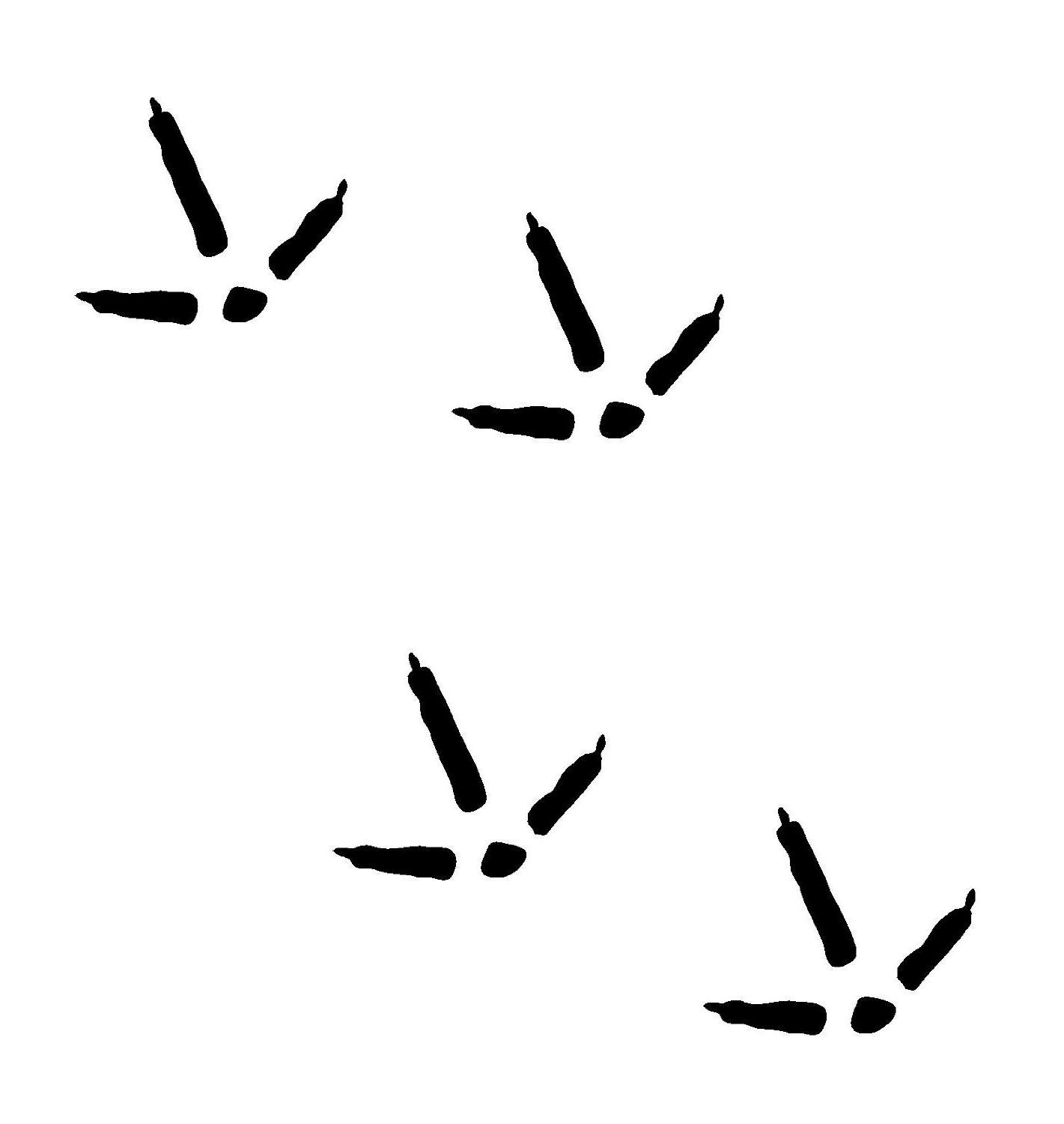 1421x1500 Turkey Tracks Clipart