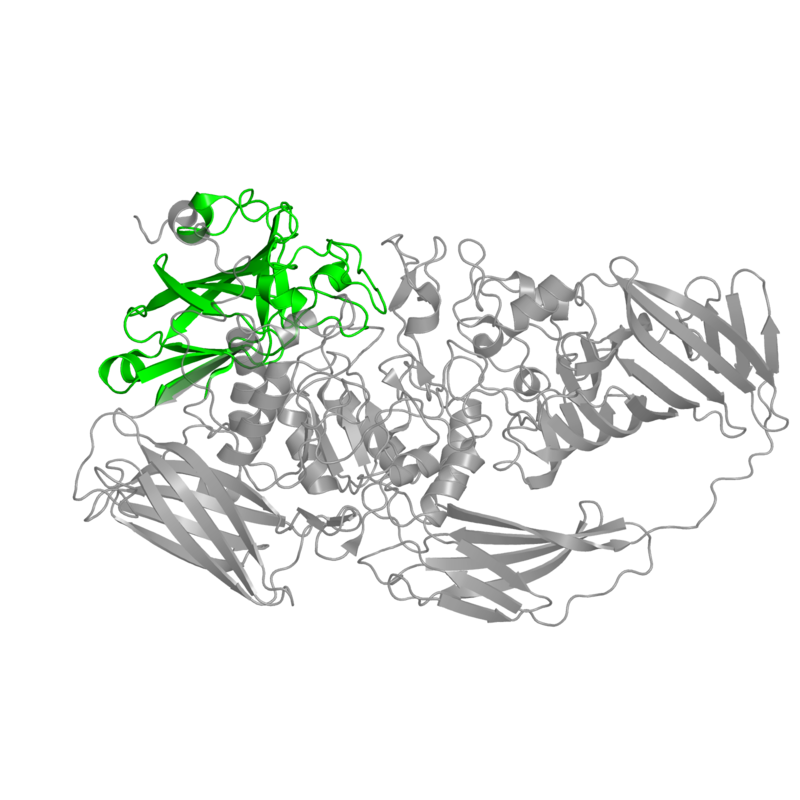 800x800 Pdb Gallery Protein Data Bank In Europe