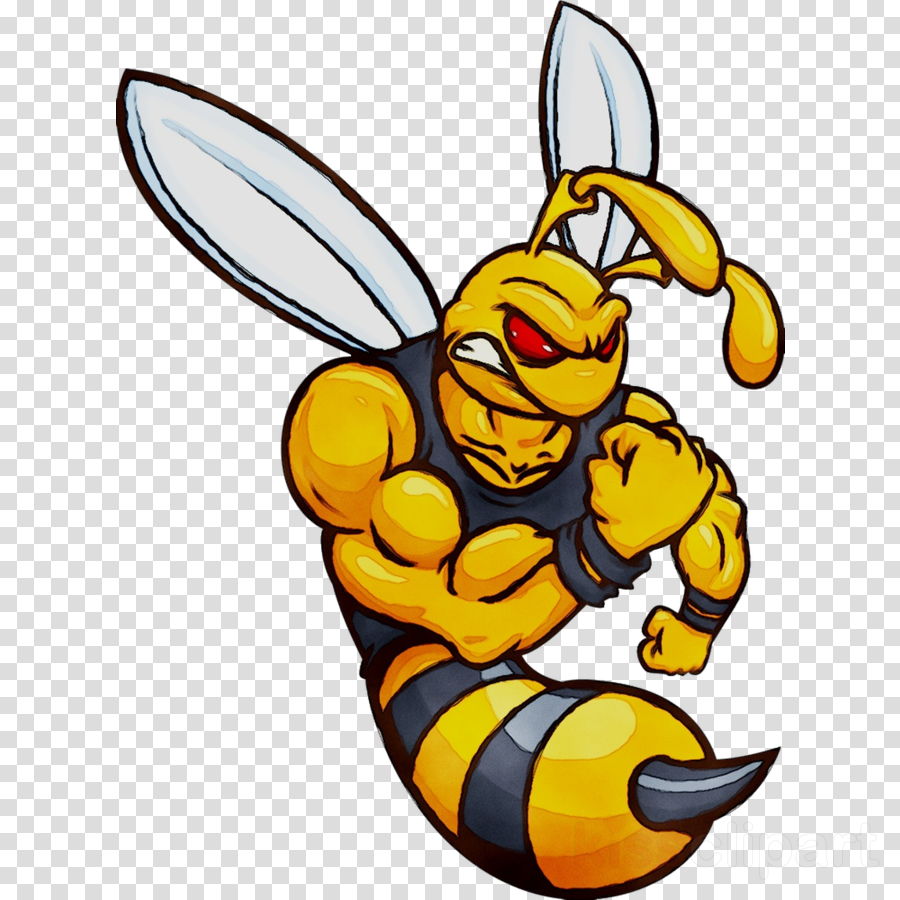 900x900 Bee, Drawing, Sticker, Transparent Png Image Clipart Free Download