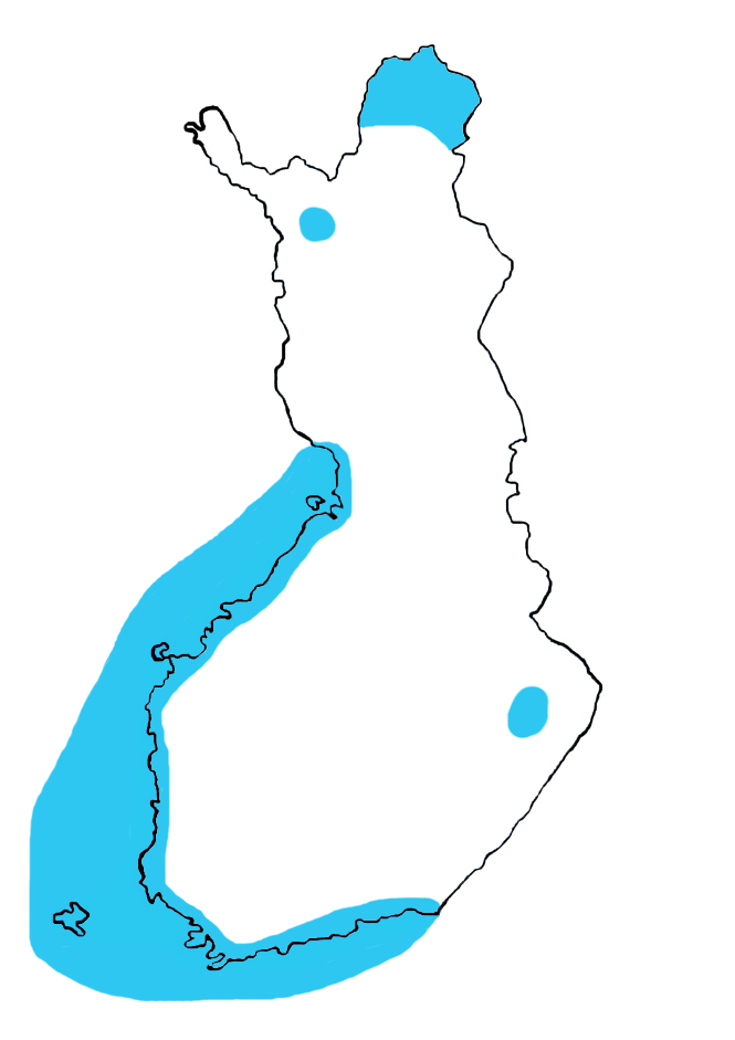 665x941 Three Spined Stickleback Maretarium