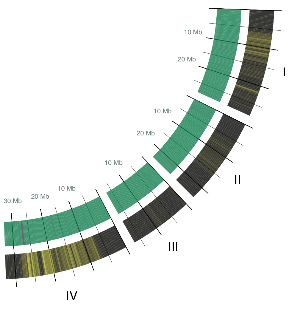1008x1036 drawing circle plots with python
