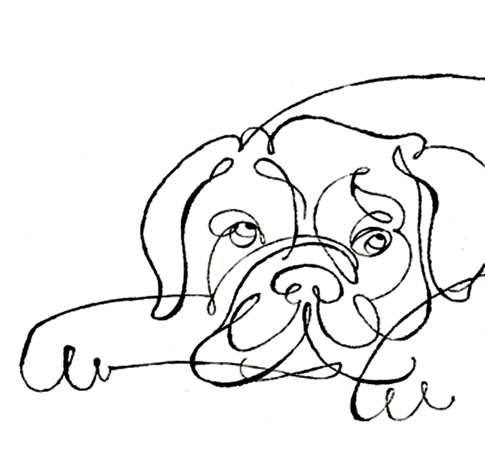 1600x1482 Contour Line Mr Knight Art