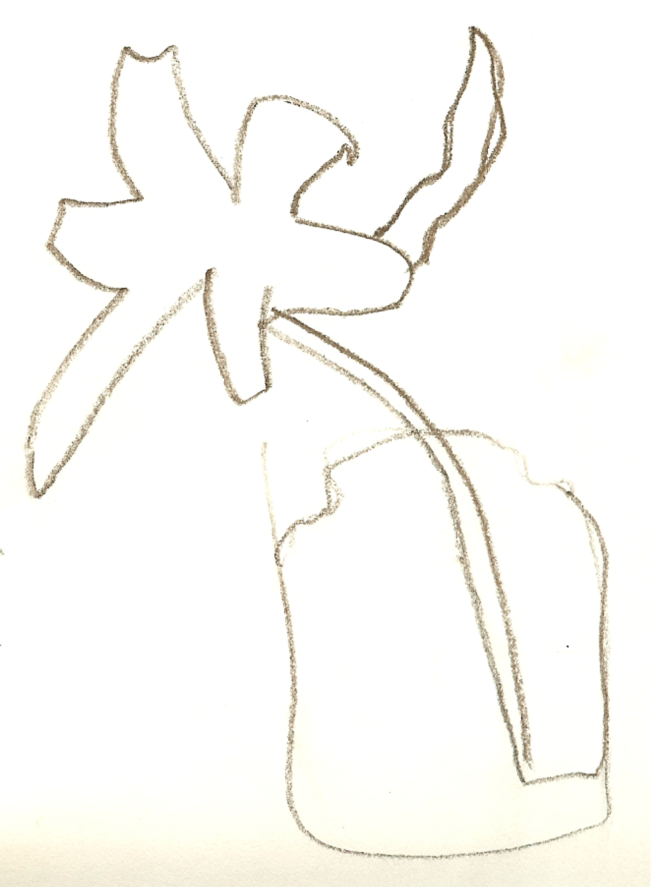 1324x1805 Continuous Line Contour Drawing Still Life