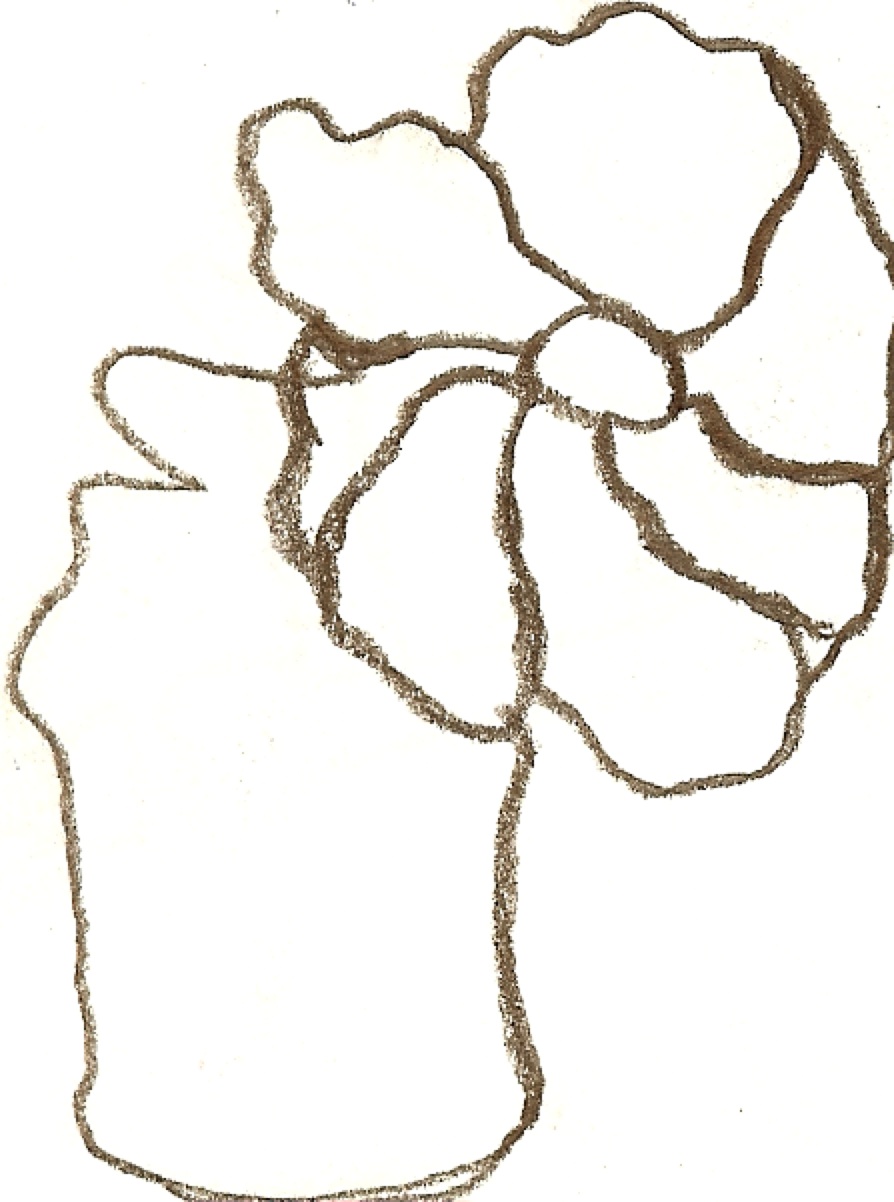 894x1202 Contour Line Drawings Upwardboundartists