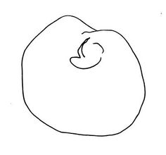 236x220 Most Inspiring Contour Drawing Images Contour Drawings