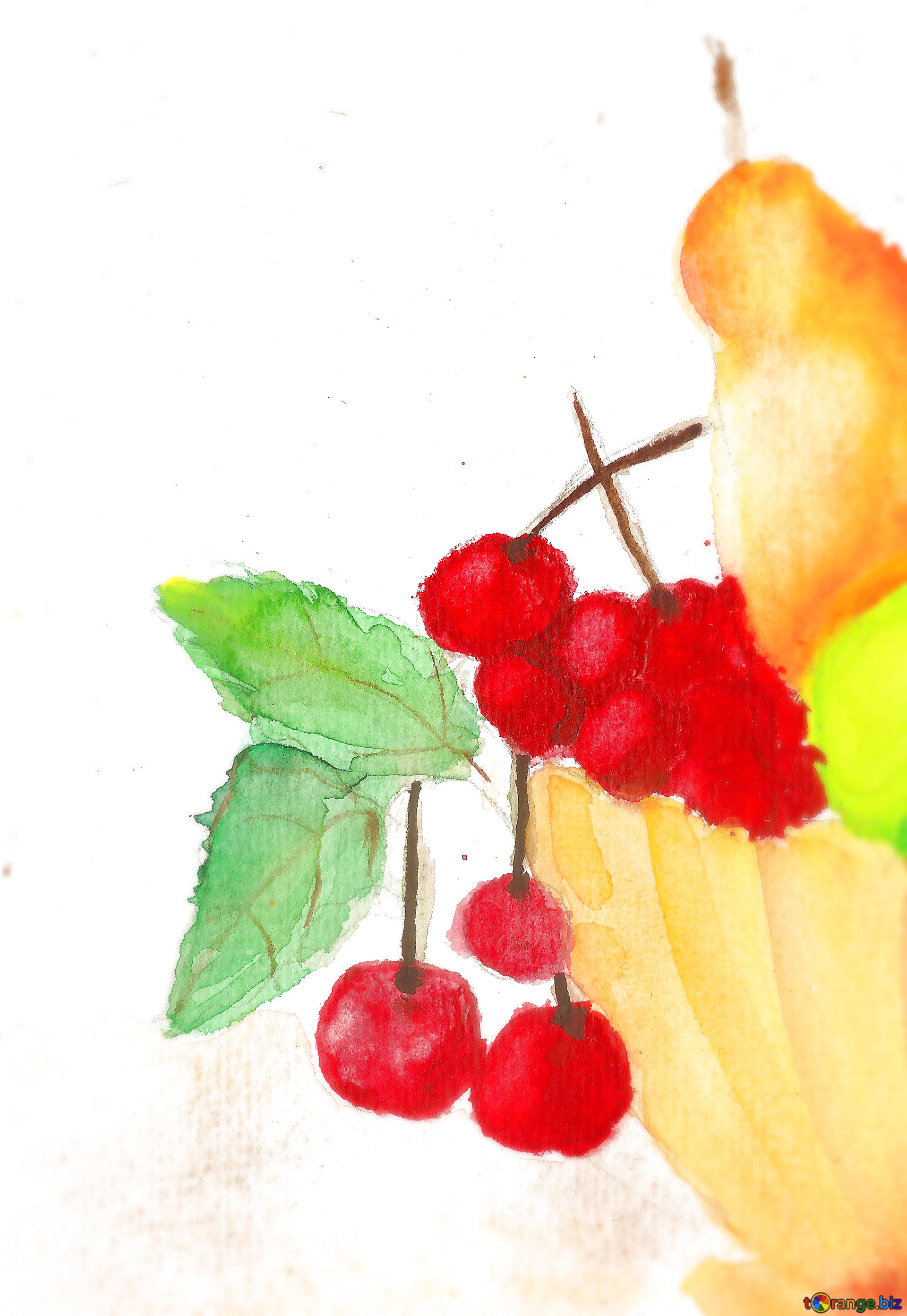 1920x2786 Download Free Picture Drawing Painted Watercolor Still Life