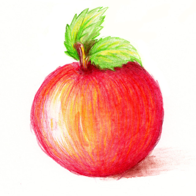 640x640 Drawing Of Apple Watercolor And Pencil Art Bright Colors, Over