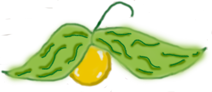 728x318 Still Life Fruit Drawings Using Photoshop Jessiifernandeskc