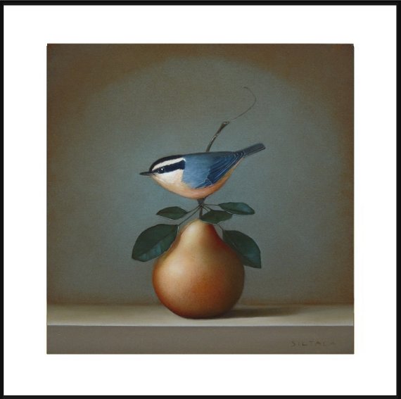570x567 Bird And Pear Still Life Bird Art Print, Still Life Painting