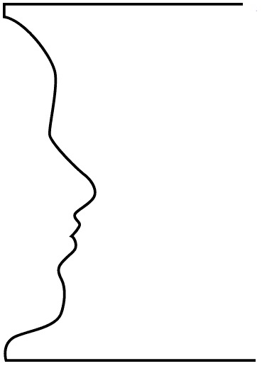 369x516 Introduction To Still Life Drawing Continues