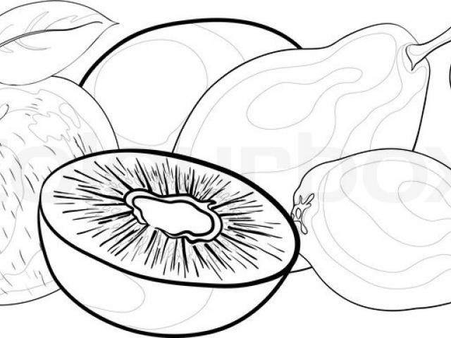 640x480 Still Life Clipart