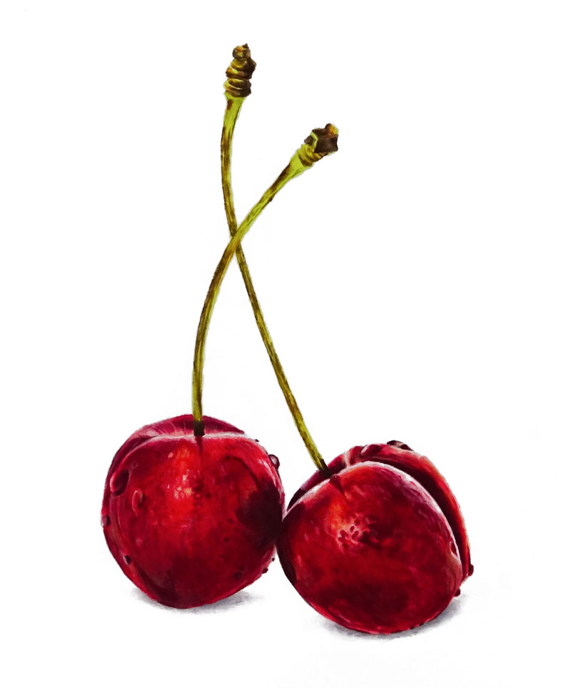 800x964 Cherries With Colored Pencils Thevirtualinstructor Blog