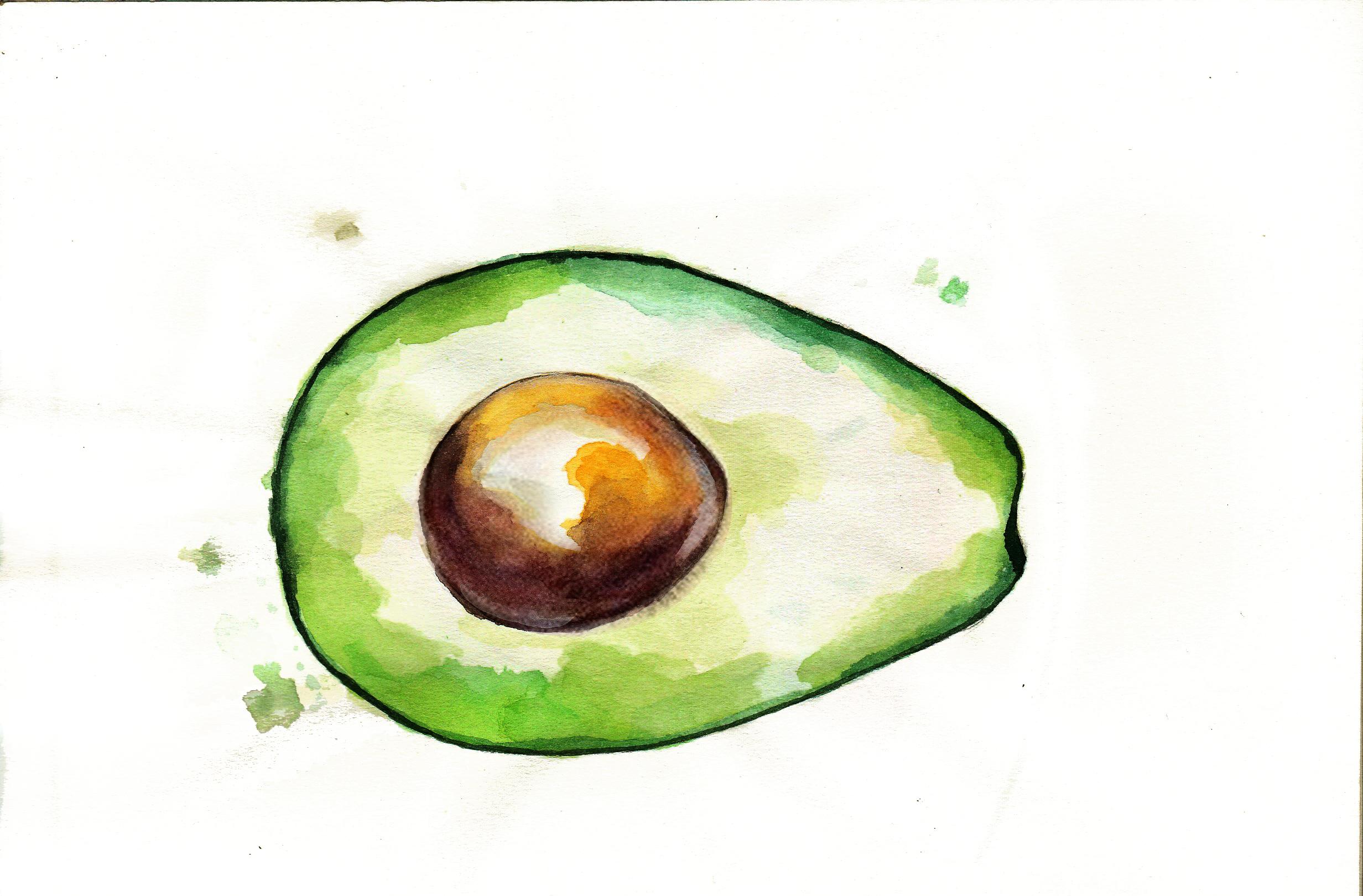 2464x1620 Avocado Pencil Drawing Cute Chalk Toast An Iydunetwork