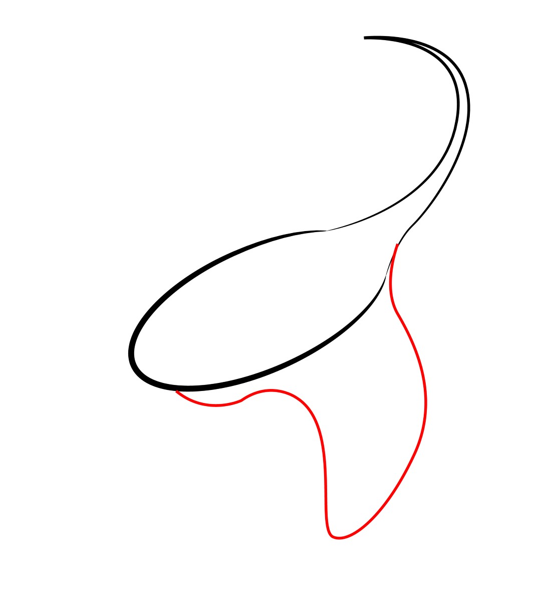 1080x1195 How To Draw A Cartoon Stingray