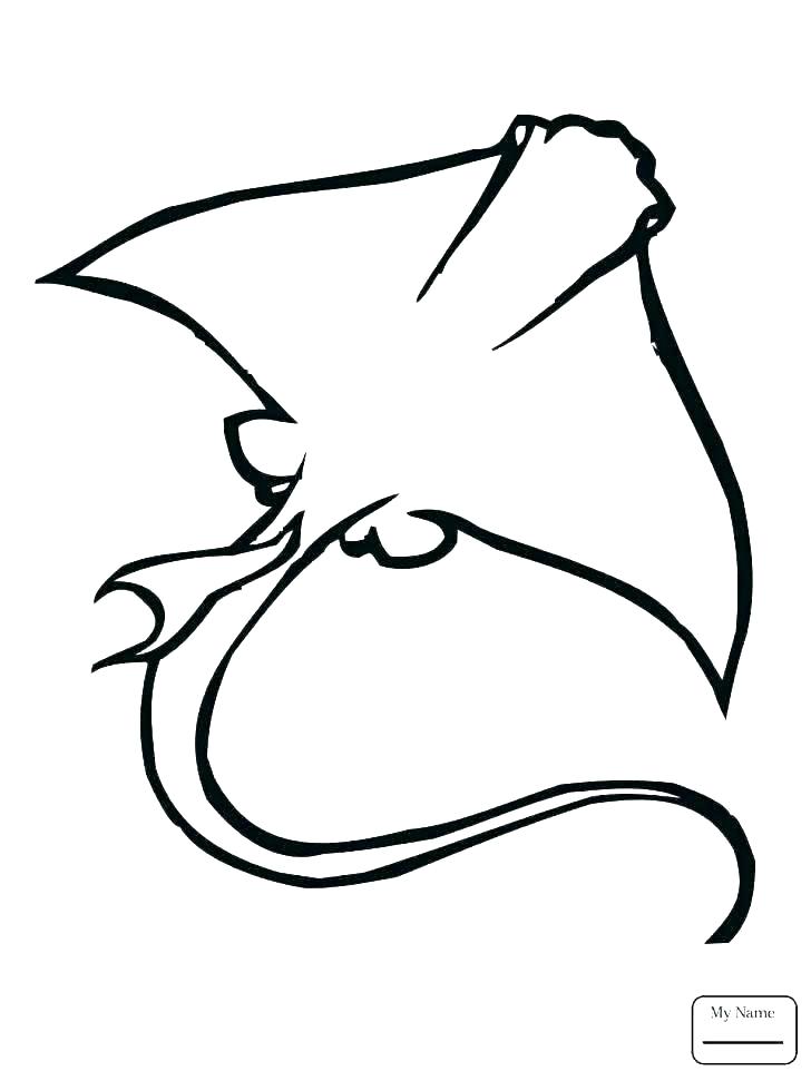 728x971 sting ray drawing manta ray fish vector animal wildlife design