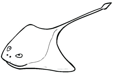 480x306 Stingray Coloring Pages Green Stingray Coloring