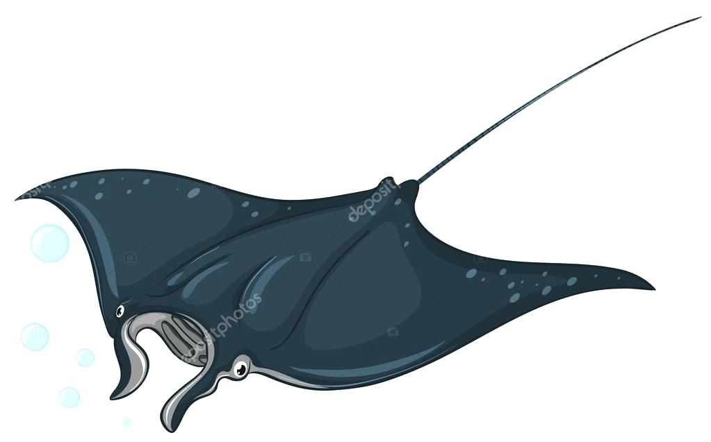 1023x637 Stingray Drawing Scared Cartoon Fish Drawings Images Crazywind