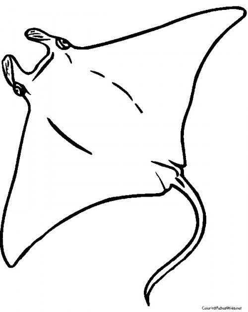 500x630 Stingray Coloring Pages Places To Visit Coloring Pages, Sea