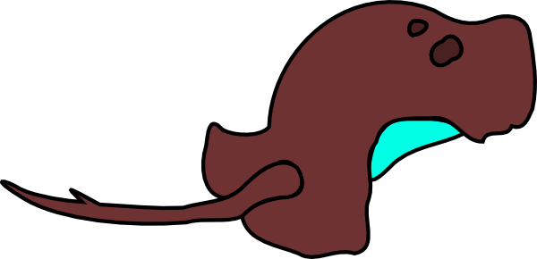 600x290 Collection Of Free Swimming Drawing Stingray Download On Ui Ex