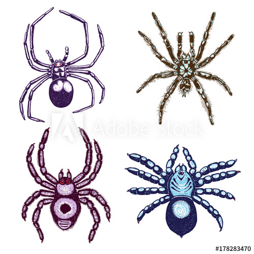 500x500 Halloween Colour Spiders Stipple Drawing Set Isolated Insects
