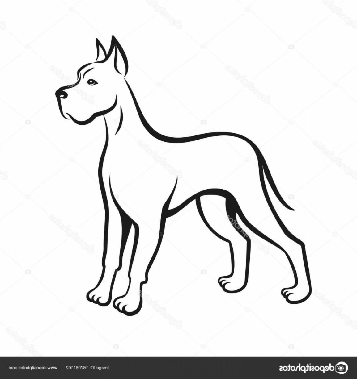 1155x1228 Stock Illustration Dog Line Drawing Great Dane Lazttweet