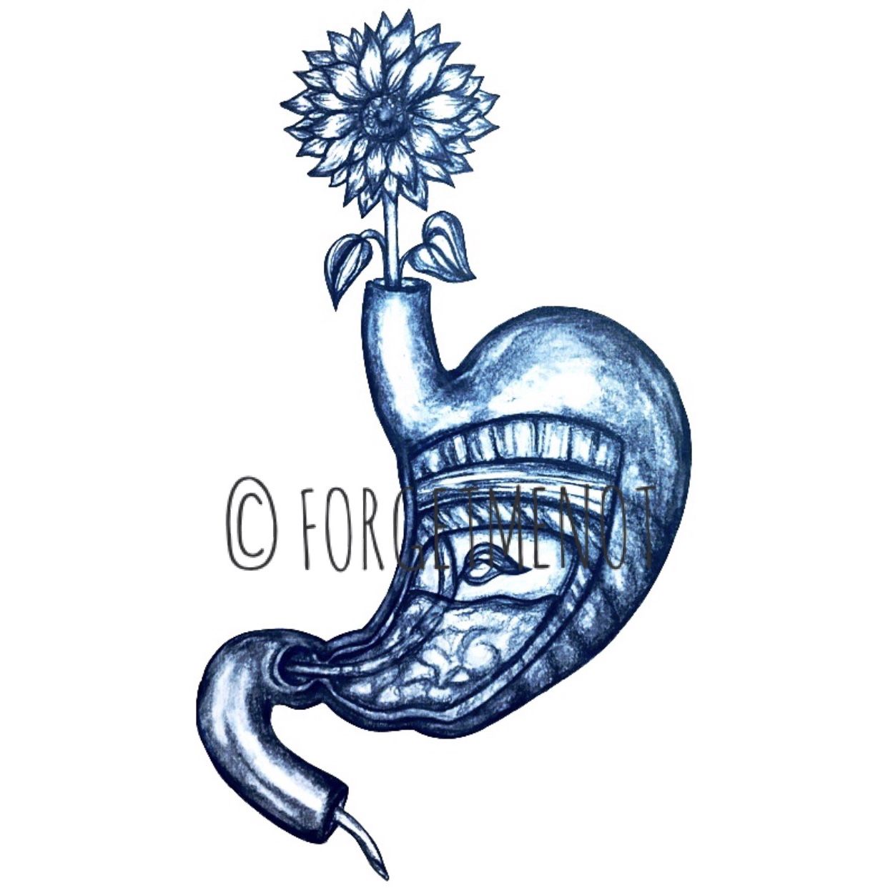 1242x1242 Drawing Art, Anatomical Art, Anatomy Art, Flower Art, Sunflower