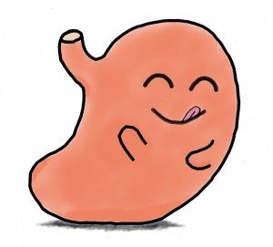 300x271 Stomachs Deserve Our Kind Attention