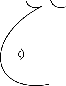 228x300 Collection Of Free Stomach Drawing Clip Art Download On Ui Ex