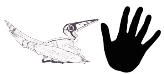 524x236 Dinosaur And Prehistoric Animal Drawings