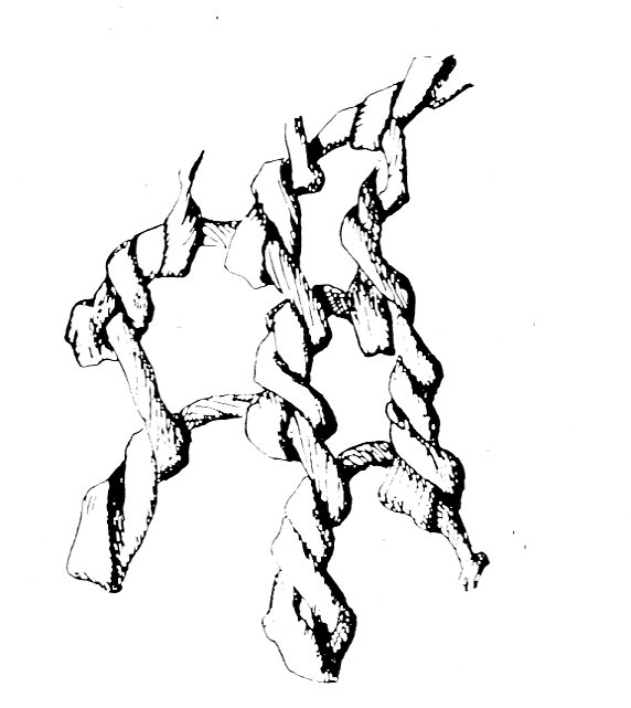 572x641 Reconstructing A Prehistoric Fish Trap Exarc