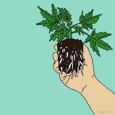 400x400 Stoner Doodle Tumblr