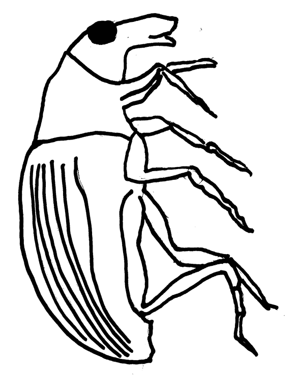 580x756 Environmental Coloring Sheets Minnesota Pollution Control Agency