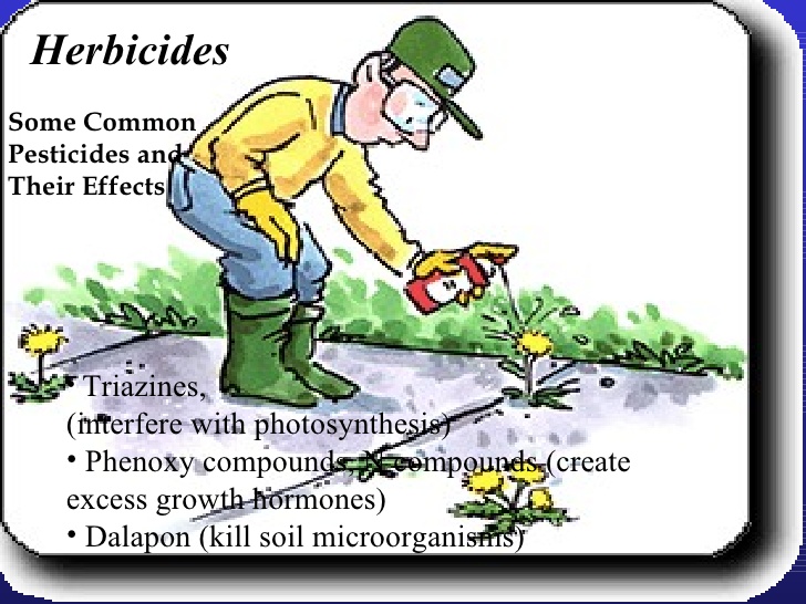 728x546 Water Pollution In Pakistan