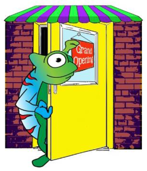 500x582 Craft Chameleon Blog New Website Grand Opening Of Store