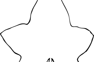 300x200 Clipart Storefront Clipart Portal