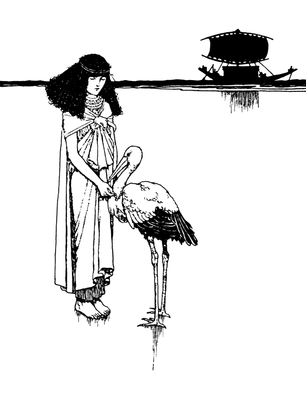 600x792 Illustration, Illustrator, Drawing, Transparent Png Image