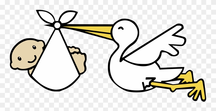 880x454 Infant Child White Stork Bird