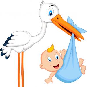 300x300 Stock Illustration Stork Vector Illustration Line Drawing Soidergi