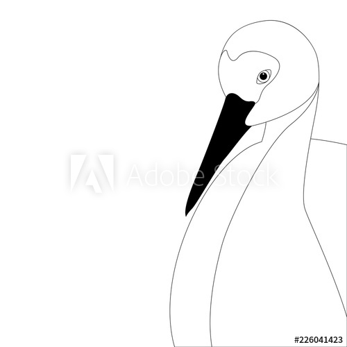 500x500 Stork Head Vector Illustration Lining Draw Front