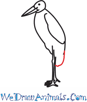 300x350 How To Draw A Marabou Stork