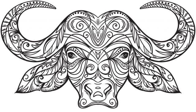 640x368 White Buffalo Storytelling Evening Trail District Arts Council