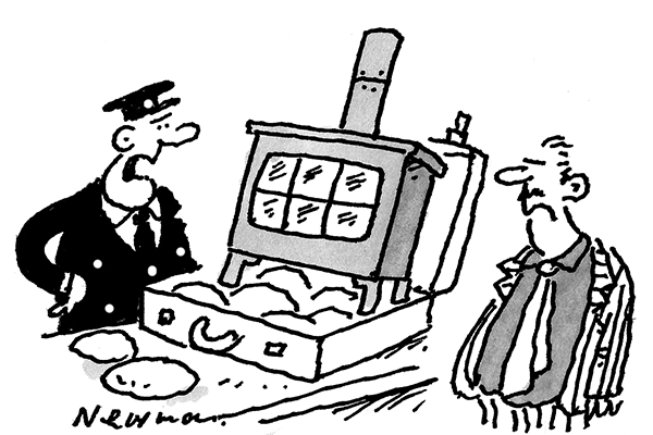 600x400 Wood Burner The Spectator