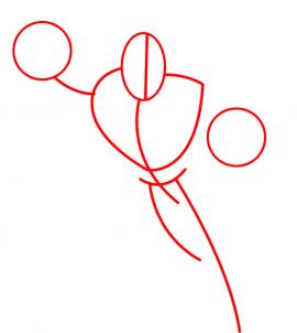 270x302 Draw Z Strap, Step