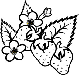 260x260 Download Strawberry Clipart Musk Strawberry Drawing