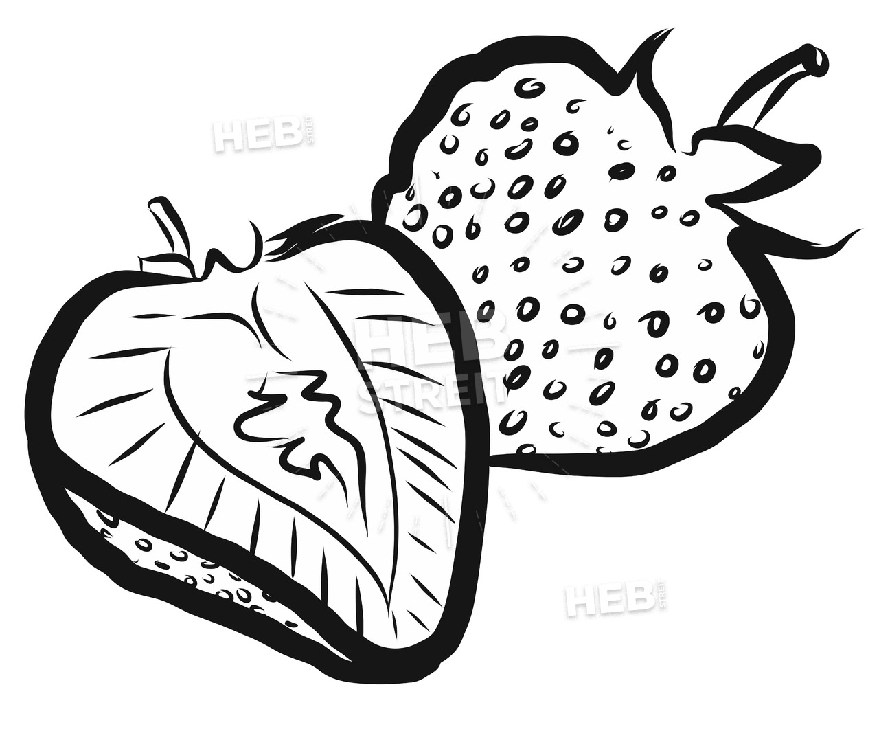 1280x1061 Strawberries Outline Vector Illustration Hebstreits Sketches