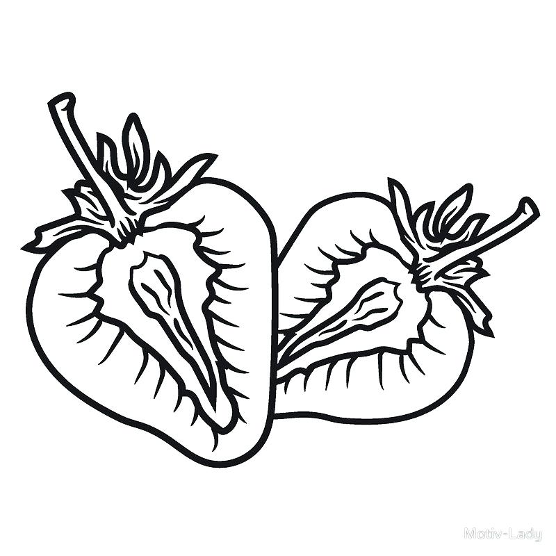 800x800 Strawberry Drawing