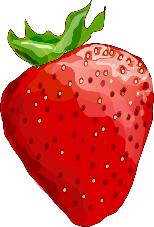 Strawberry Outline Drawing